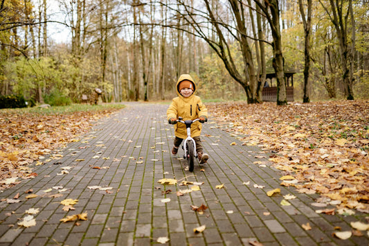 Why Autumn Is the Perfect Time to Invest in Outdoor Toys