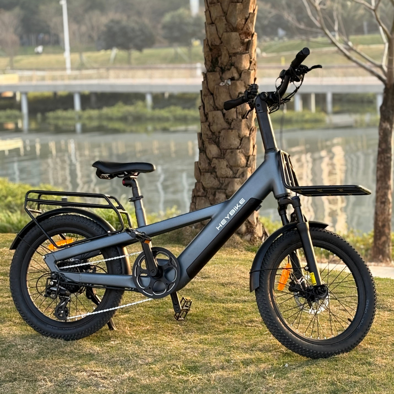 EC Compact Sport Cargo Ebike