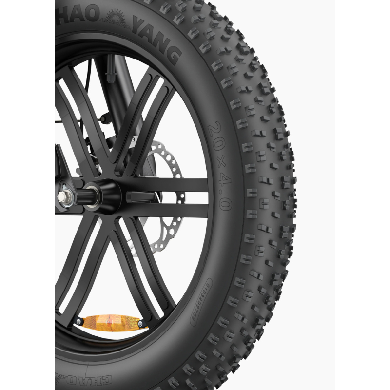 ENGWE L20 Boost  E-bike