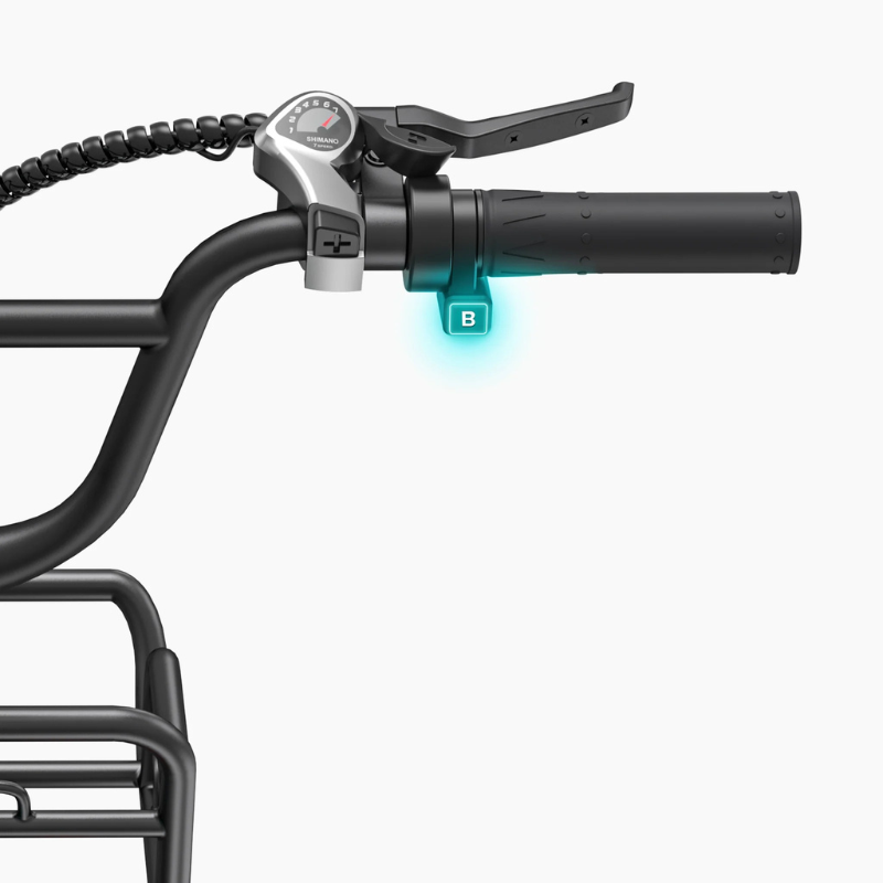 ENGWE L20 Boost  E-bike