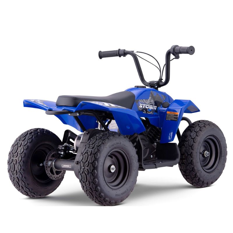 Blue 250w Kids Mini Quad Bike on a white background back view