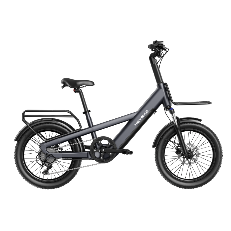 EC Compact Sport Cargo Ebike