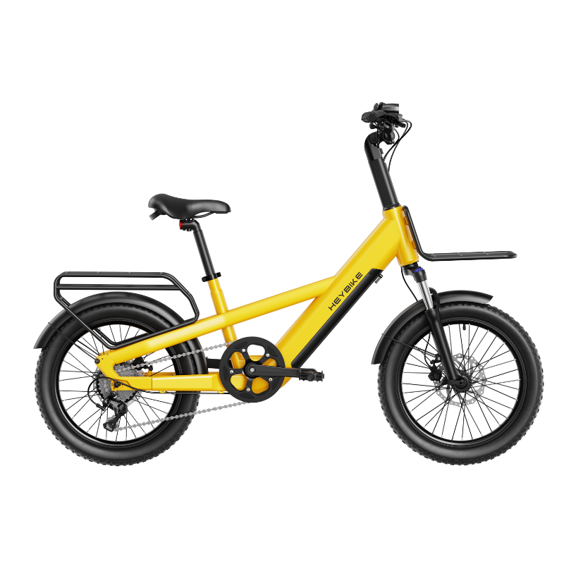 EC Compact Sport Cargo Ebike