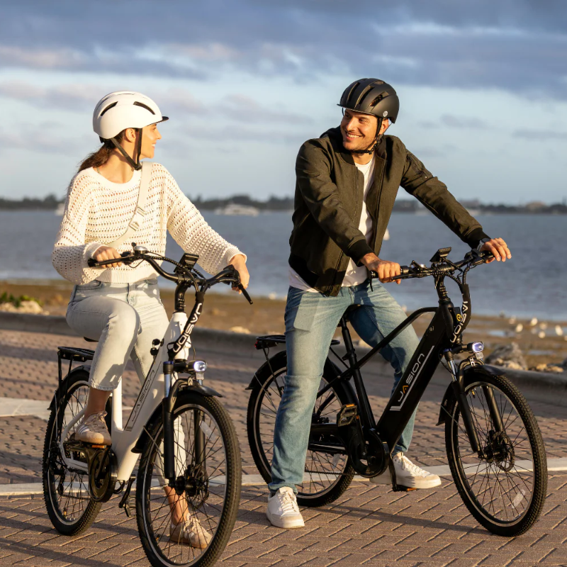 Jasion EB5 Roamer E-Bike