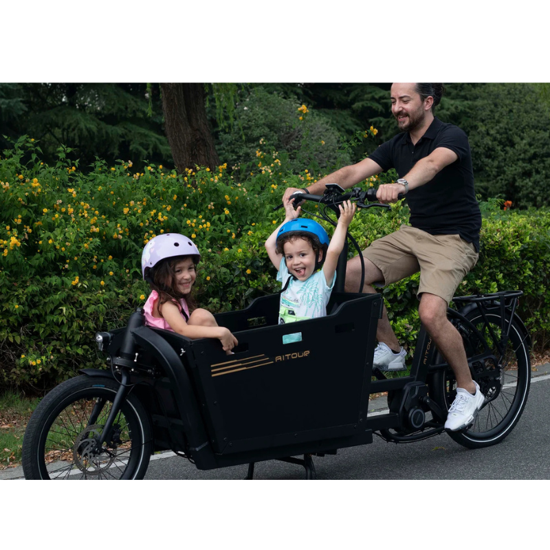 Aitour Cargo Bike - Basalt