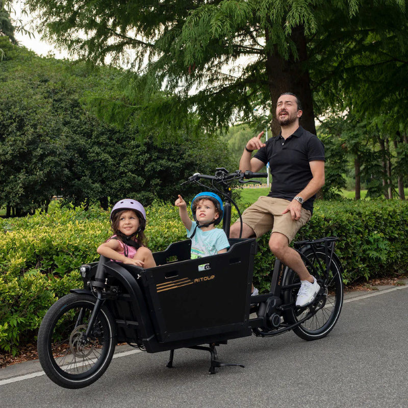 Aitour Cargo Bike - Basalt