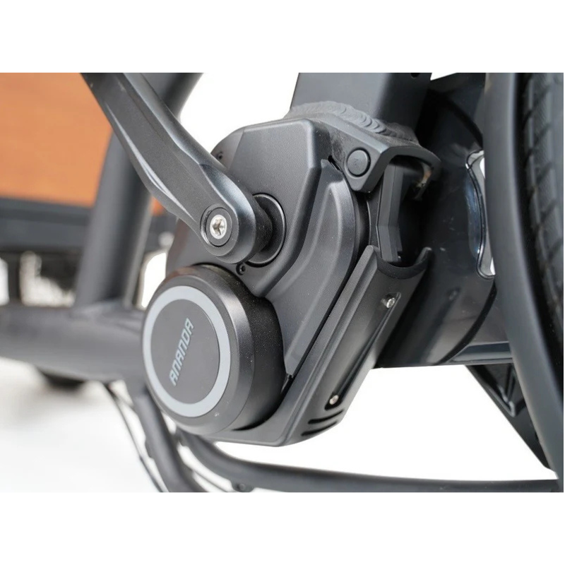 Aitour Cargo Bike - Family S