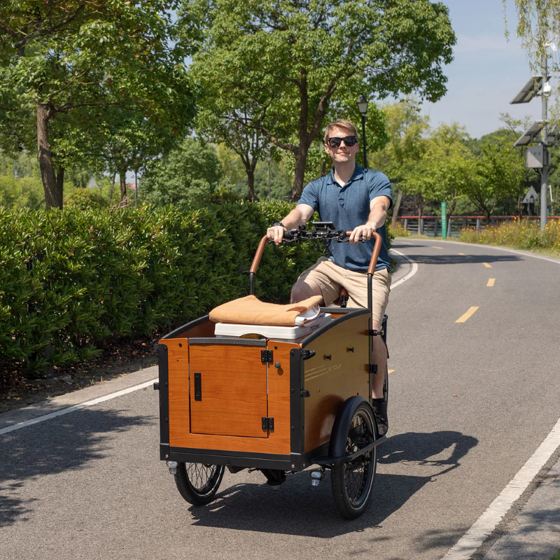 Aitour Cargo Bike - Family S