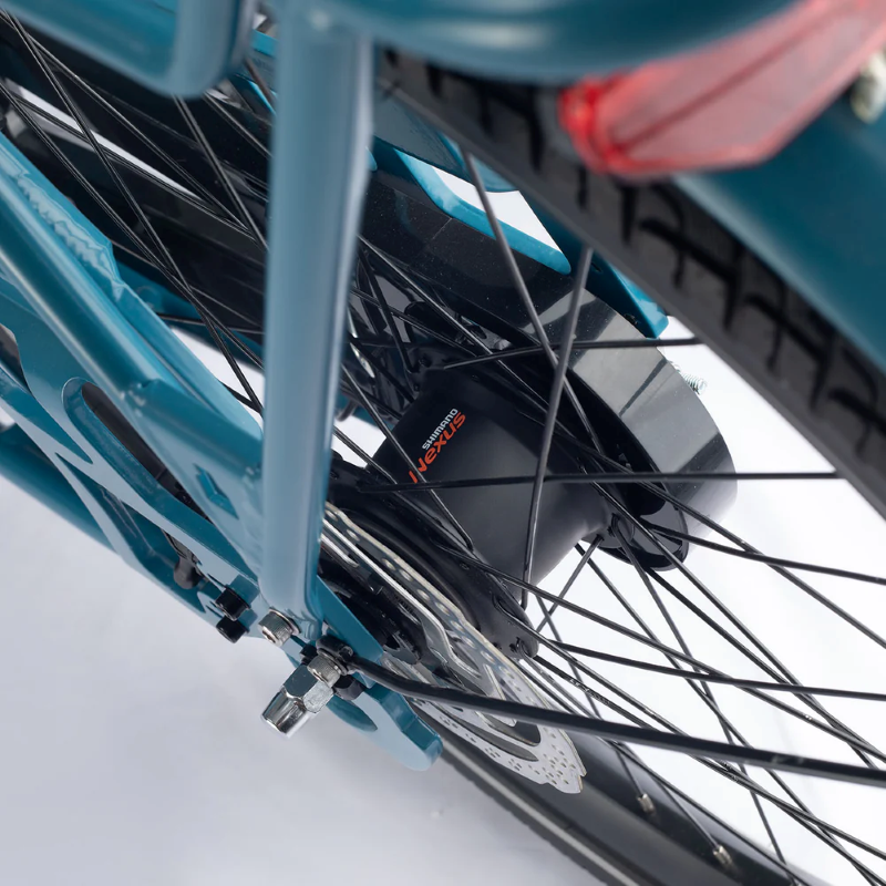 Aitour Cargo Bike - Family S