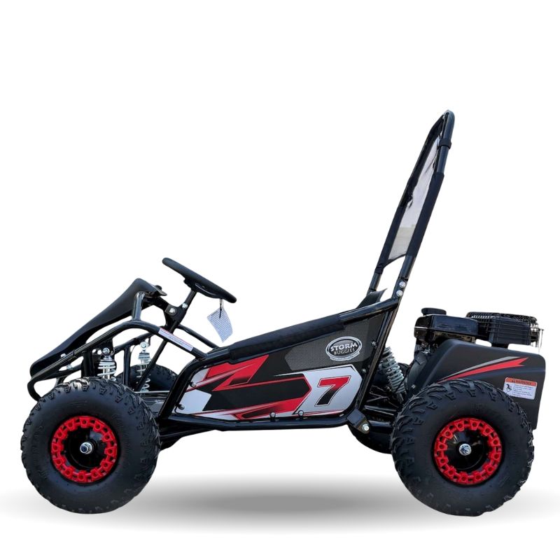 Black 100cc Mud Monster go-kart on a white background