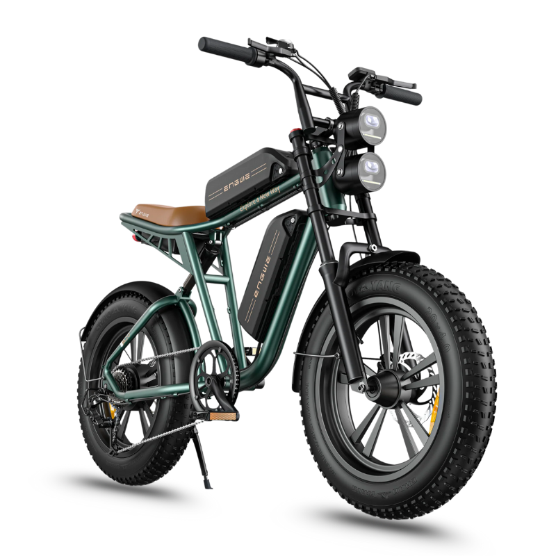 ENGWE M20 Long Range E-bike