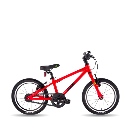 Frog44 with transparent background