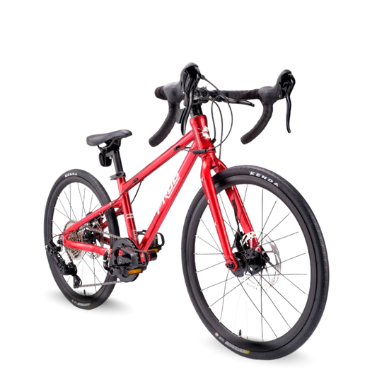 Frog Road 53 Bike with transparent background