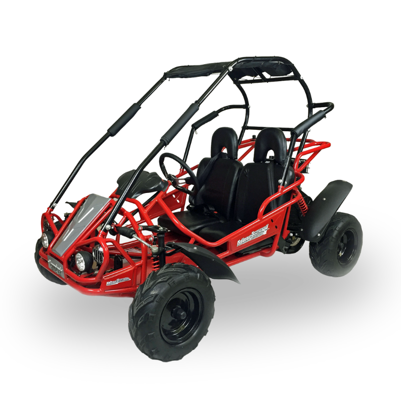 Reverse 208R Kids OffRoad Buggy with transparent background