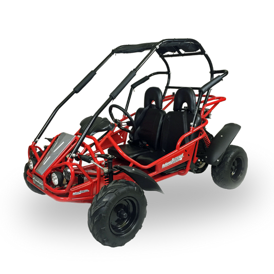 Reverse 208R Kids OffRoad Buggy with transparent background