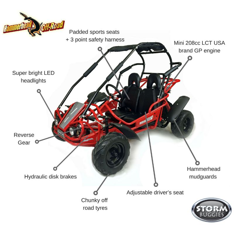 Different Parts of Reverse 208R Kids OffRoad Buggy 