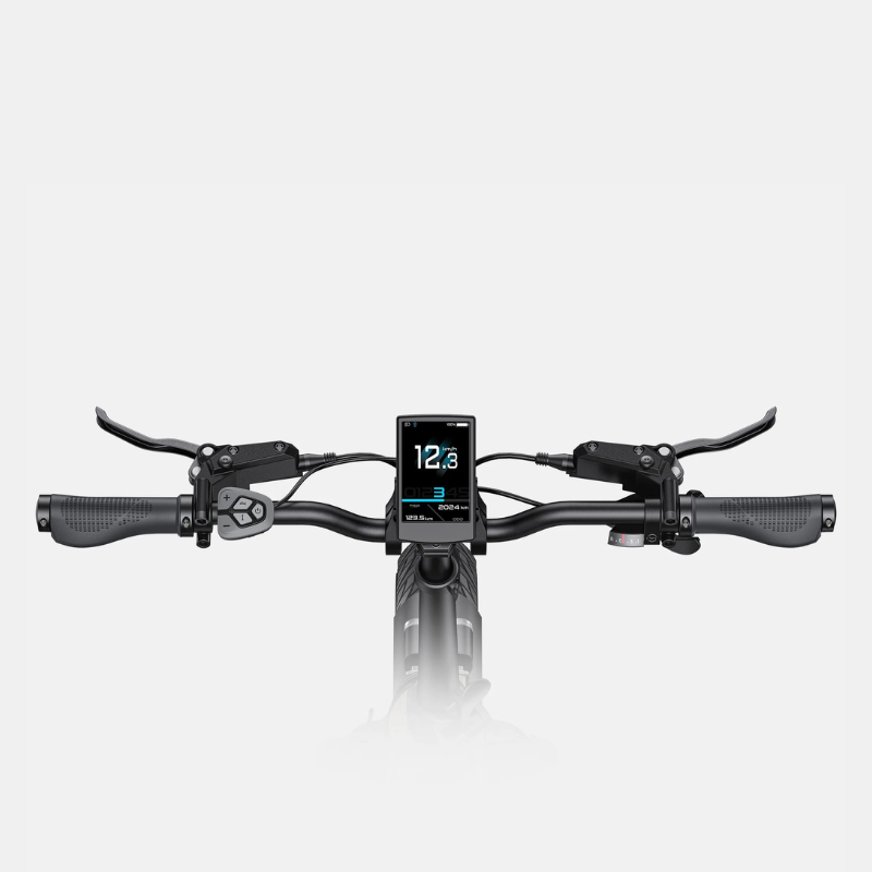 Engwe L20 3.0 Pro Handlebar with digital display on a white background