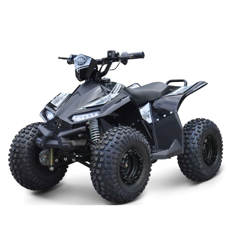 Renegade Ranger 1200w Kids Electric Quad Bike Black on a White Background