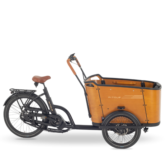 Aitour Cargo Bike - Family C