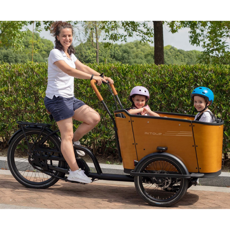 Aitour Cargo Bike - Family C