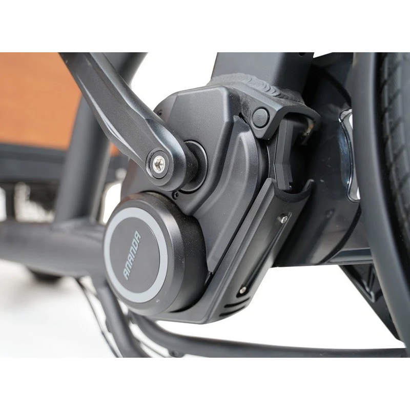 Aitour Cargo Bike - Family C