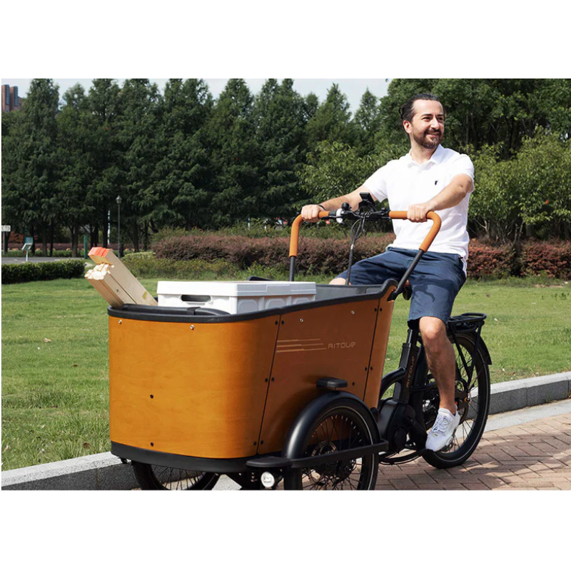 Aitour Cargo Bike - Family C