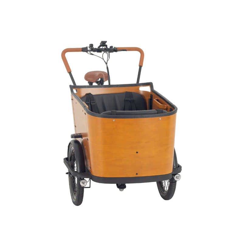 Aitour Cargo Bike - Family C