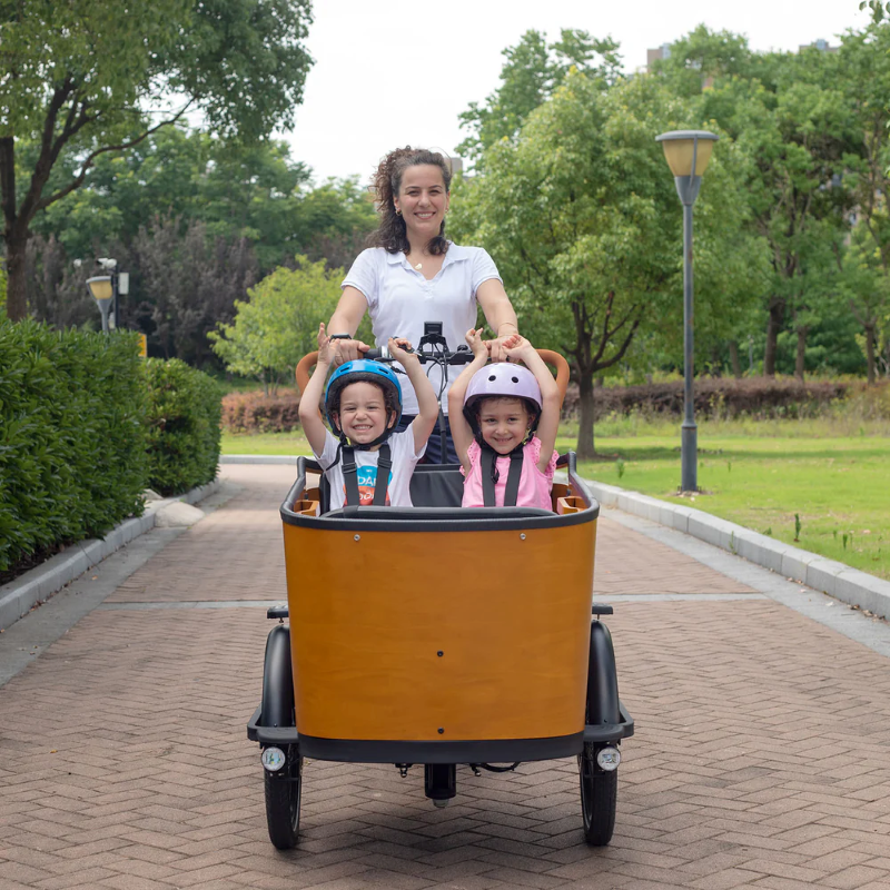 Aitour Cargo Bike - Family C