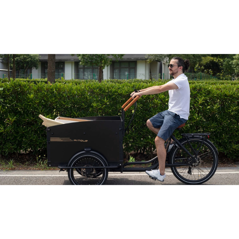 Aitour Cargo Bike - Starter
