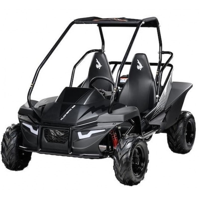 Hammerhead Mudhead 208R black buggy on a white background