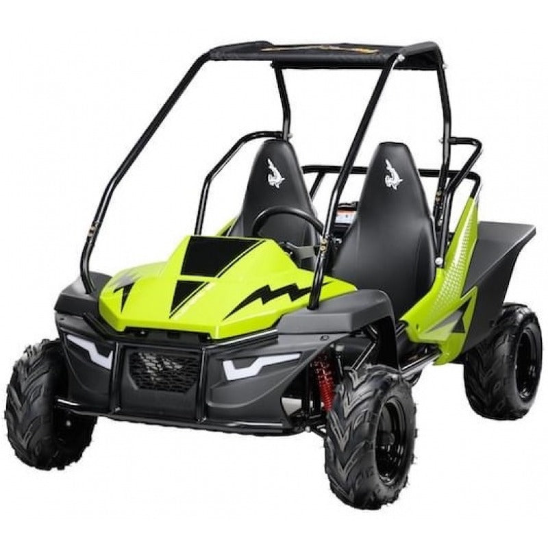 Hammerhead Mudhead 208R Green buggy on a white background