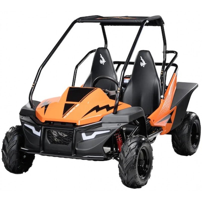 Hammerhead Mudhead 208R Orange buggy on a white background